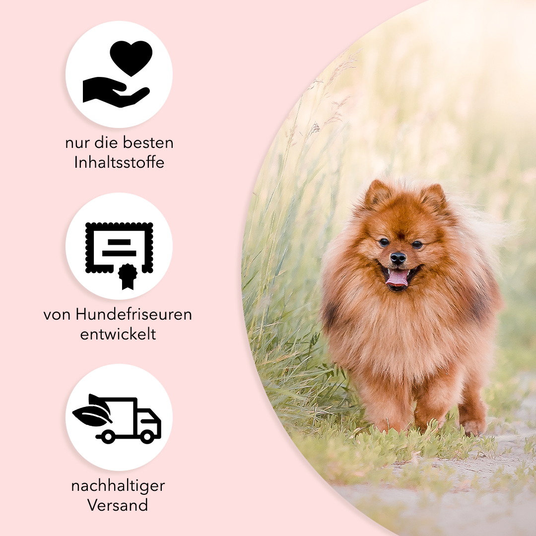 Hundeshampoo Easy Clean für alle Felltypen